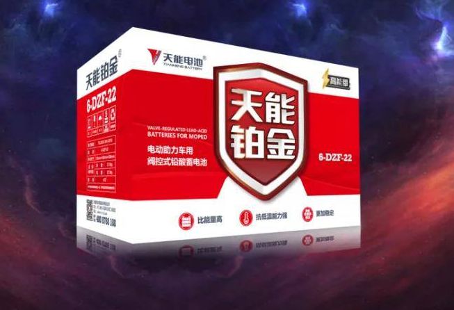 電動車換電池要注意，這4種電池不耐用、續航差